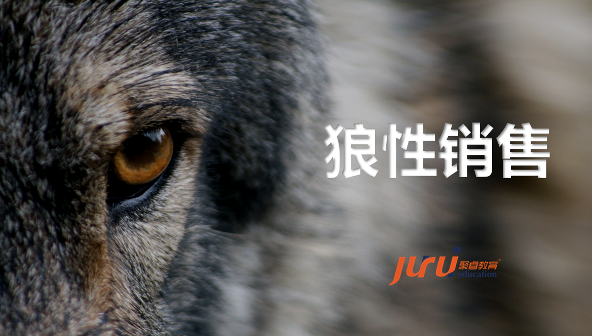 工業(yè)品狼性營銷